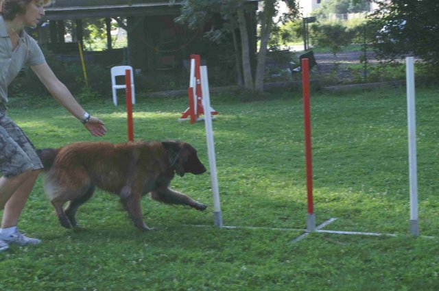 agility 2011-08